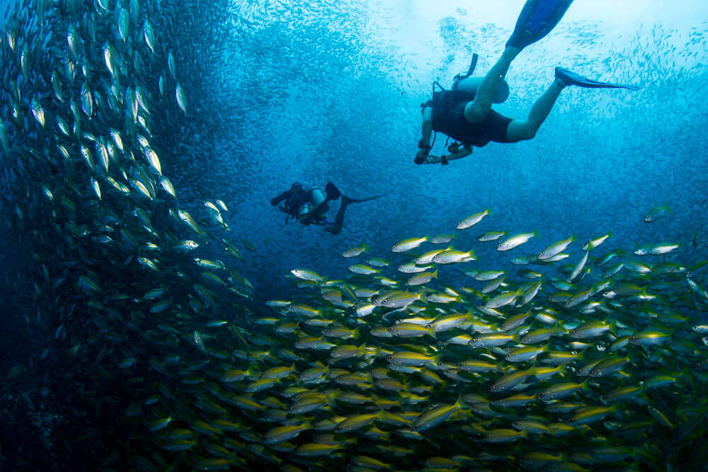 Koh Tao - one of the best diving sites near Koh Samui 