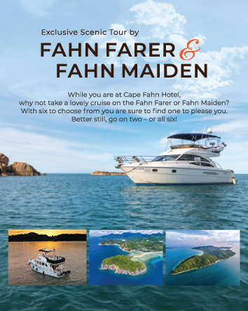 Sunset Cruise Saturday